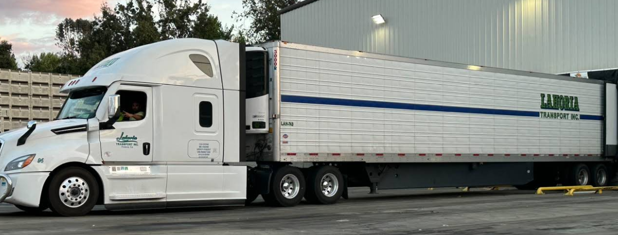 Lahoria Transport Truck